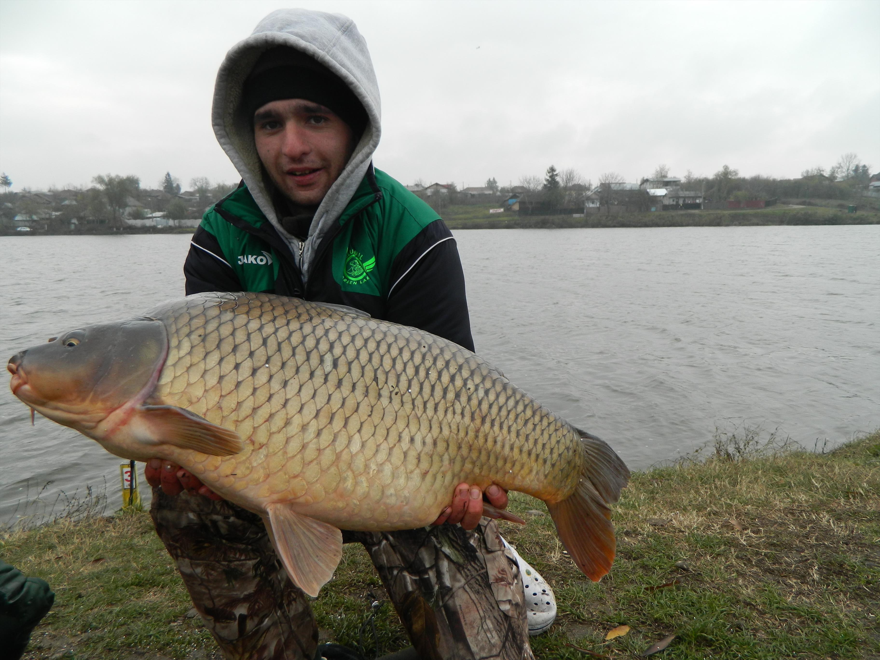 Moara Vlasiei 2  - DSCN1048.JPG